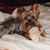 Brenda Darby's profile image