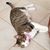 Susan Schulte's profile image