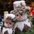 Cindy Vanderpool's profile image