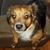 Kellie S. Osborn's profile image