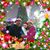 Cesar N Meza Hernandez's profile image