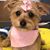 Kelly Knowles's profile image