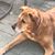 Kimberly Murphy Bolton's profile image