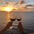 Jolie Mouton's profile image
