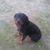 Michael Cleveland Wade's profile image