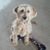 Vincent Marcantonio's profile image