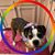 Casey Miller's profile image