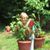 Megan Cunningham Jurgens's profile image
