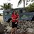 Sharon Good's profile image