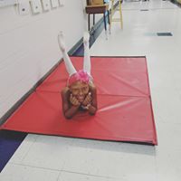 Phoebe Anthony's profile image