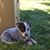 Marshall Warmbrodt's profile image