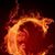 Christopher Wells's profile image
