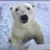 Earl Taylor's profile image