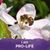 Amy L. Barnes's profile image