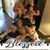 Lois Shipman's profile image