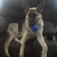 Ann-Marie McNally Warner's profile image