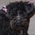 Mary Siler Moser's profile image