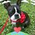 Beth Maxwell's profile image