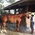Betty Pineda's profile image