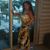 Neli Nikolova's profile image