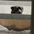Ted Journiette's profile image