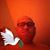 Darrell Arbuckle's profile image