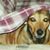 Sandy Love-Reid's profile image
