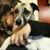 Carina Gonzalez's profile image