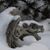 Bob Brown's profile image