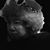 Shinobu Suzuki's profile image