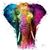 Lynda Hull's profile image