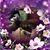 Carrie May's profile image