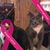 Marcy Hoffman's profile image