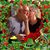Linda Sampson's profile image