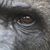 Will Johnson's profile image