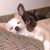 Sheri Haight-Johnson's profile image
