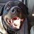 Kim Calhoun Moore's profile image