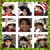 JoAnn Caccitolo Robertson's profile image
