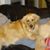 Patty Vaccaro's profile image