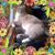 Linda Grier's profile image
