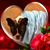 Peggy Lloyd's profile image