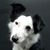 DeAnna Haase's profile image