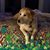 Regina Eller Talley's profile image