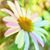 Shelley Hubal-Kinney's profile image