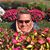 Trevis Davie's profile image