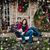 A Renee Reed's profile image