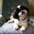 Debbie Keedy's profile image