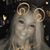 Tracy Lynn LaFleur's profile image