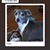 Cathy Stiles's profile image