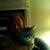 Douglas Abegglen's profile image